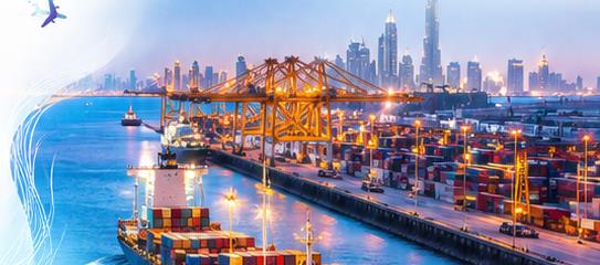 UAE customs clearance guide